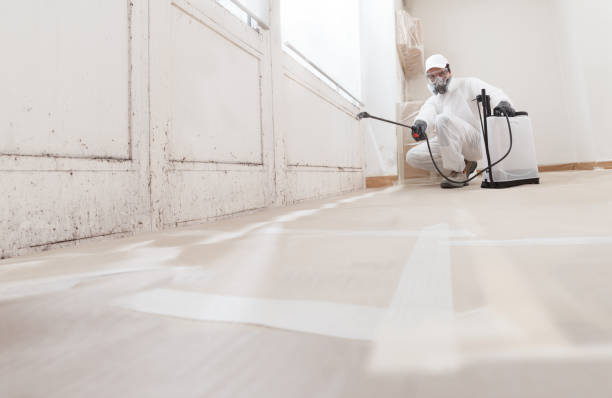 24/7 Emergency Mold Inspection experts in Berryville, TX