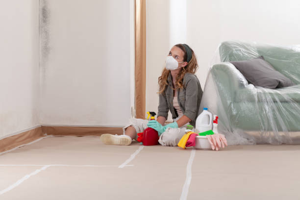 Reliable Mold Inspection contractor in Berryville, TX by WQB Mold Removal